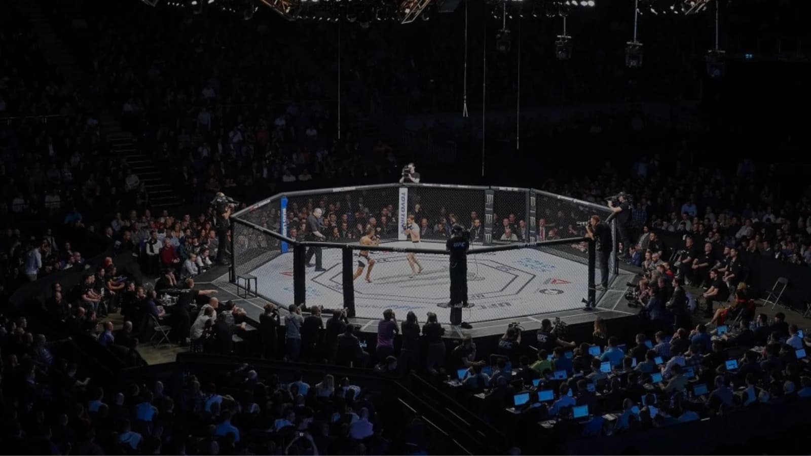 UFC MMA Combat